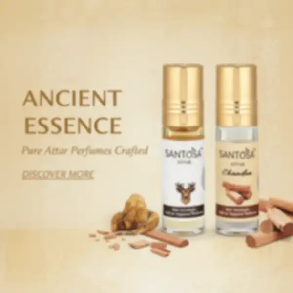 undefined__undefined