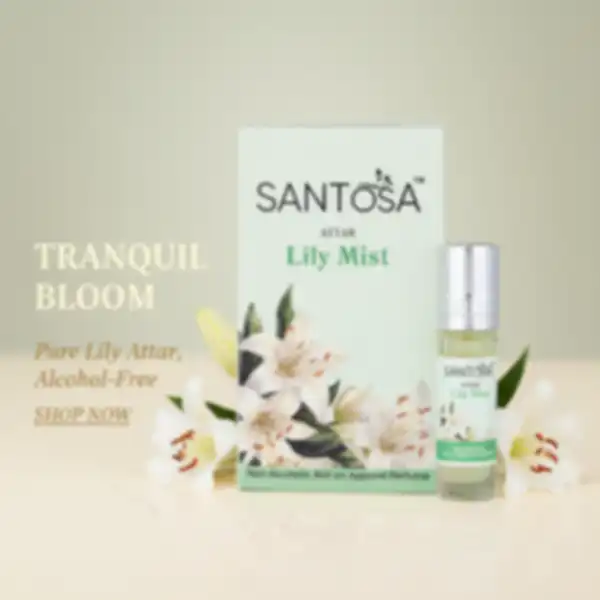 undefined__undefined