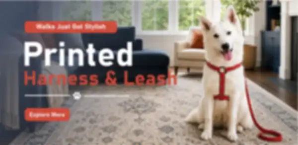 undefined__undefined