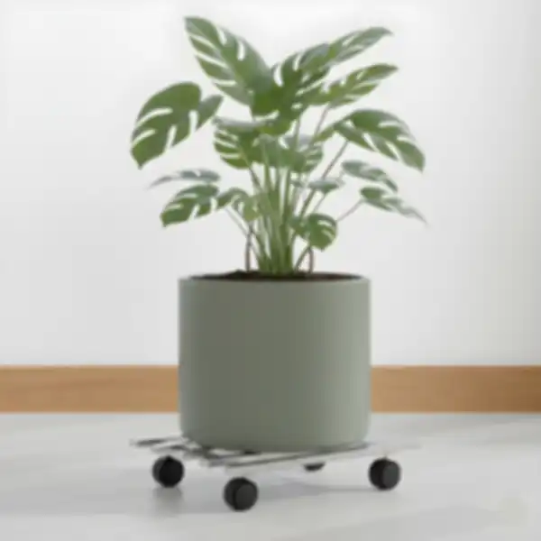 BANNER_undefined__undefined