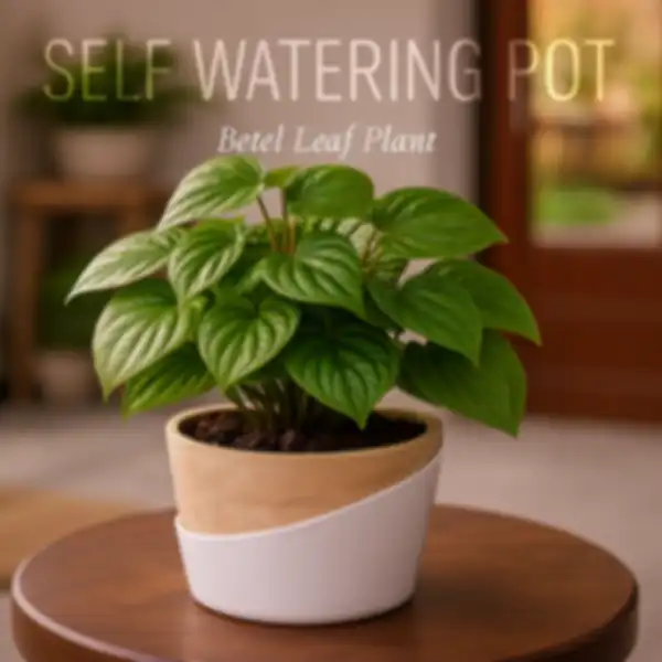 undefined__undefined