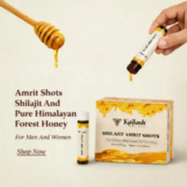 undefined__undefined