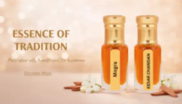 undefined__undefined