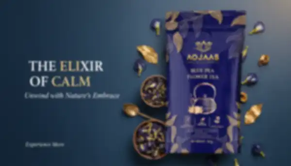 undefined__undefined