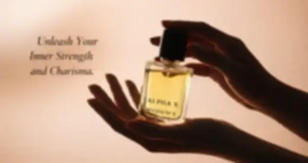 undefined__undefined