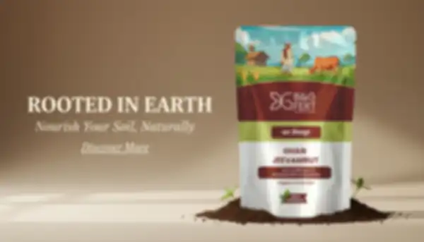 undefined__undefined