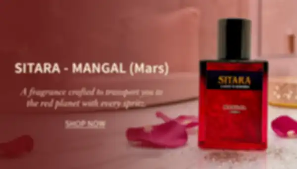 undefined__undefined