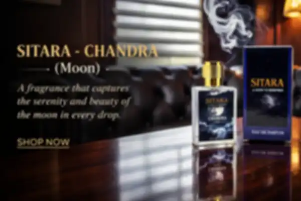 undefined__undefined