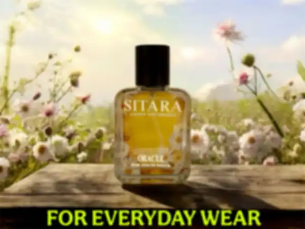 undefined__undefined