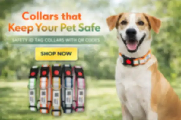 BANNER_undefined__undefined