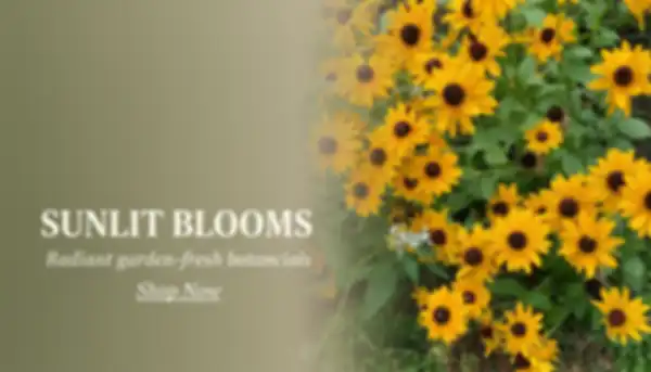 undefined__undefined