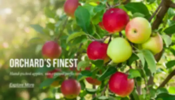 undefined__undefined