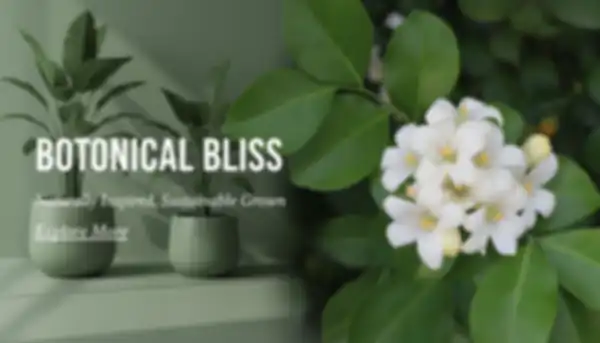 undefined__undefined