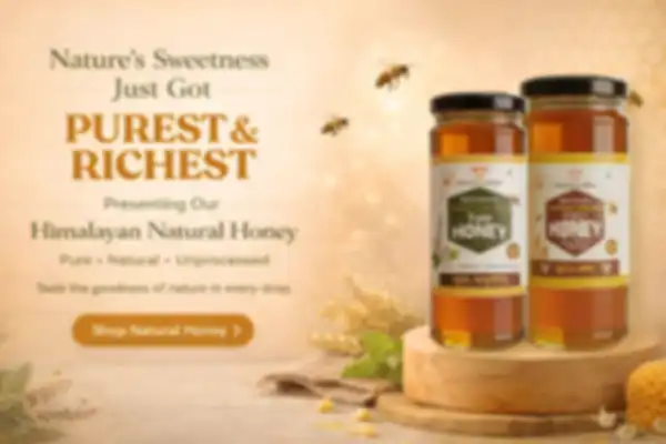 undefined__undefined