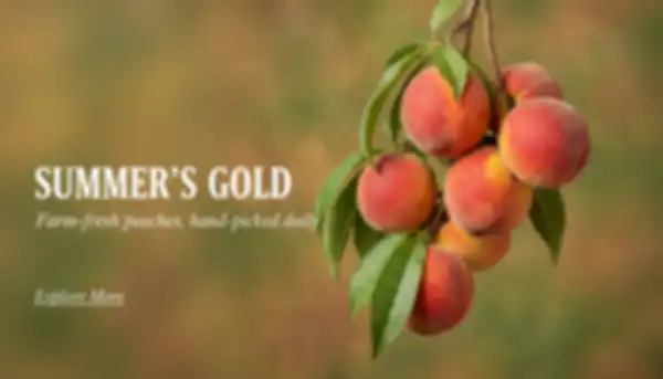 undefined__undefined