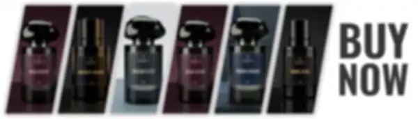 undefined__undefined