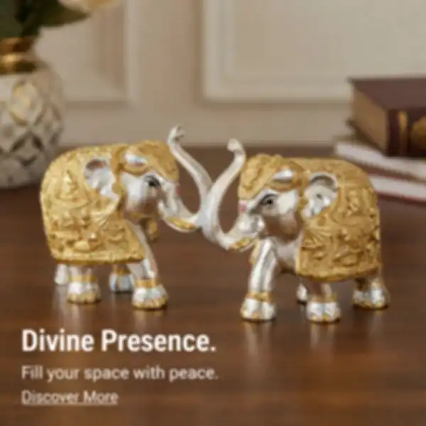 undefined__undefined