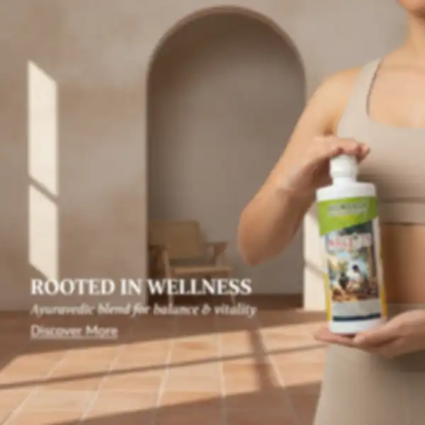 undefined__undefined