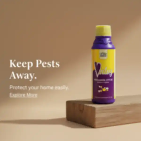 BANNER_undefined__undefined