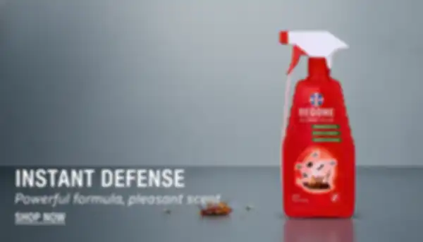 undefined__undefined