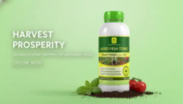 undefined__undefined