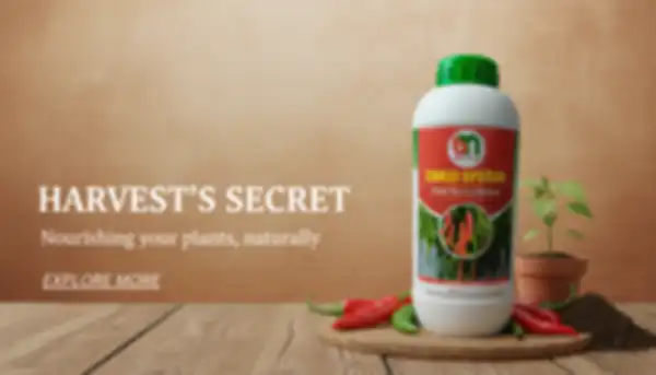 undefined__undefined