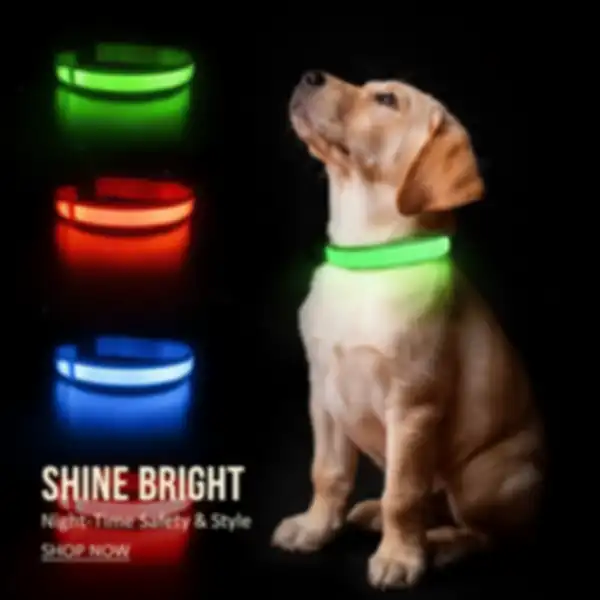 undefined__undefined