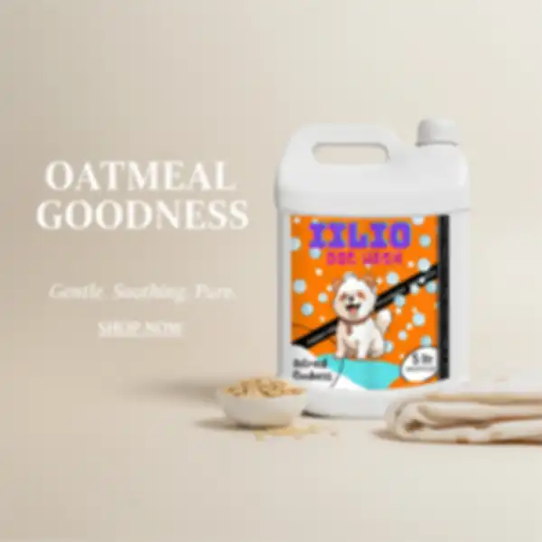 undefined__undefined