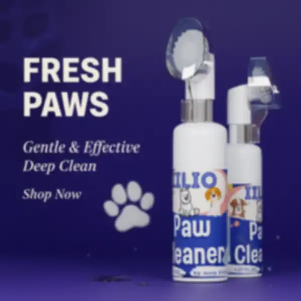 undefined__undefined