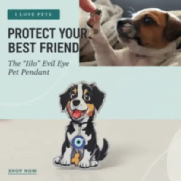 undefined__undefined