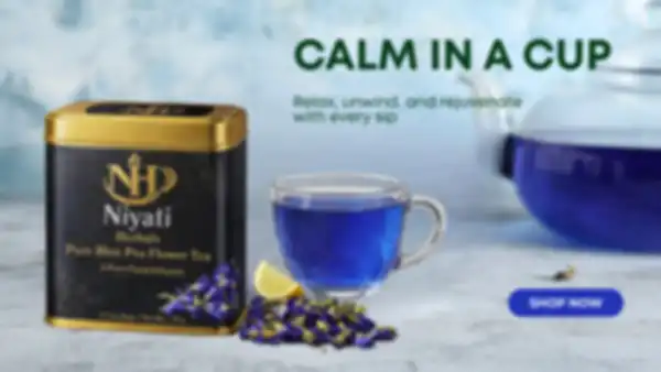 undefined__undefined