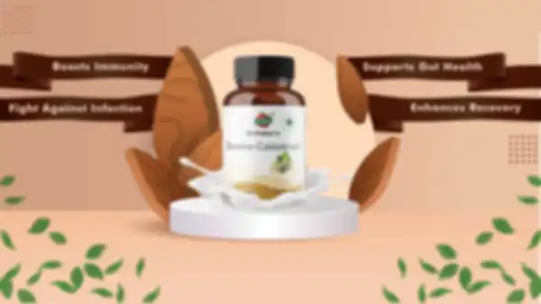 undefined__undefined