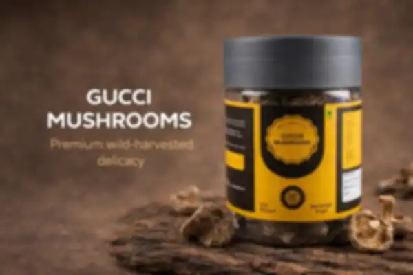 undefined__undefined