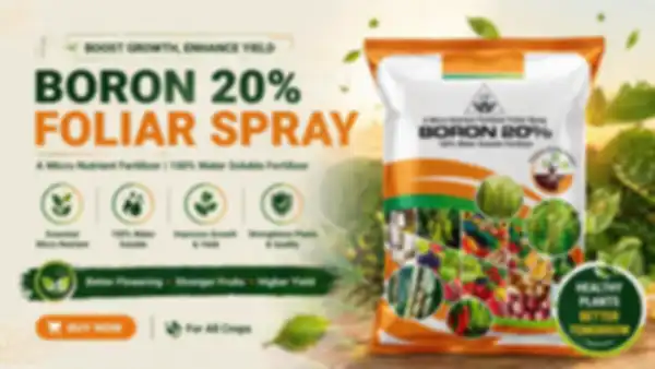 undefined__undefined