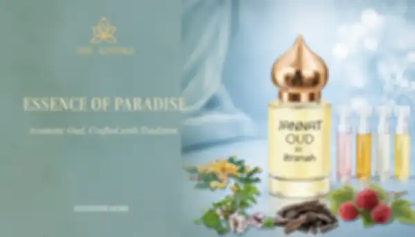 undefined__undefined