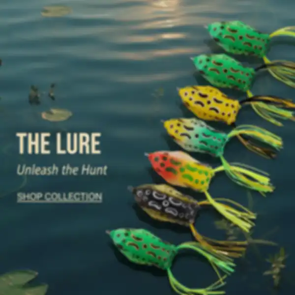 BANNER_undefined__undefined