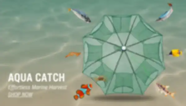 BANNER_undefined__undefined