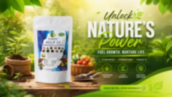 BANNER_undefined__undefined
