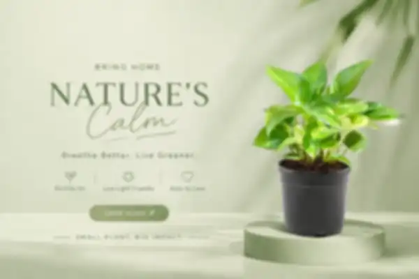 undefined__undefined