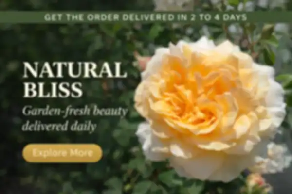 undefined__undefined