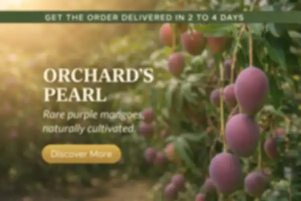 undefined__undefined