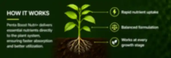 BANNERN3_undefined__undefined