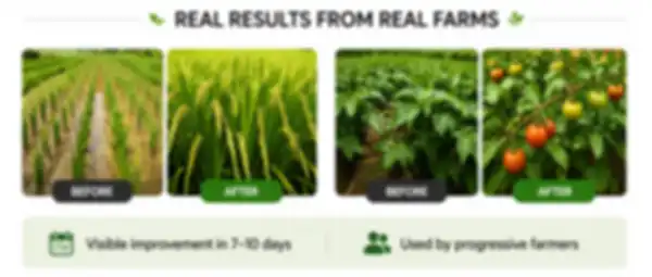 banner_4_undefined__undefined