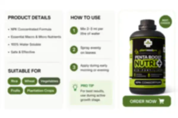 banner_5_undefined__undefined