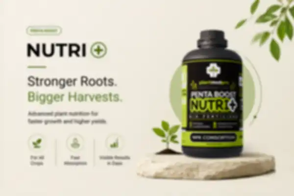 BANNER_undefined__undefined