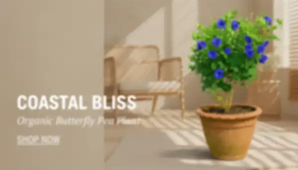 BANNER_undefined__undefined