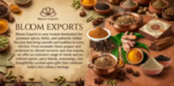 undefined__undefined