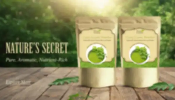 undefined__undefined