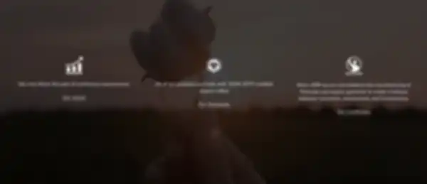 b_undefined__undefined