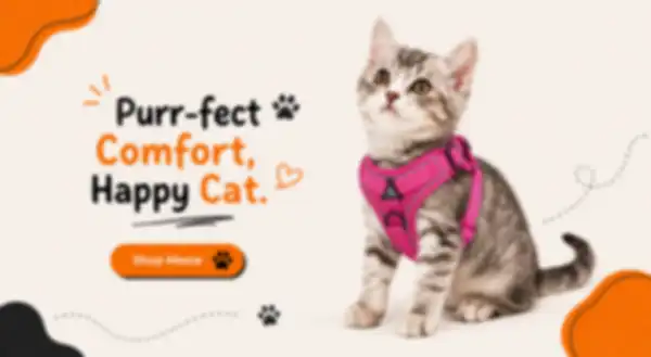 undefined__undefined